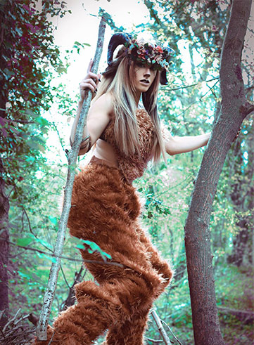 enchanted forest entertainment