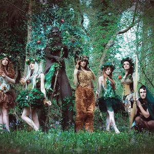enchanted forest entertainment